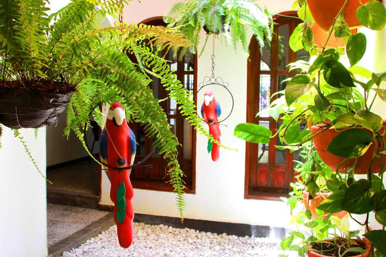 La Guaca Hostel Santa Marta - Santa Marta (Magdalena) — Photos 2